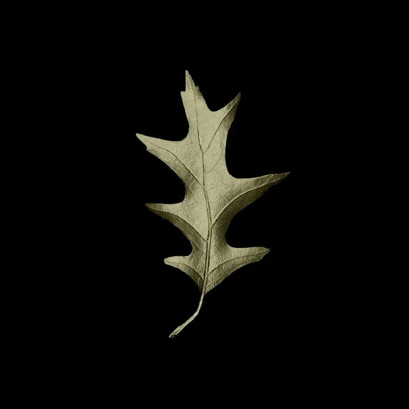 Fallen Leaves - Oak Leaf Lapel Pin